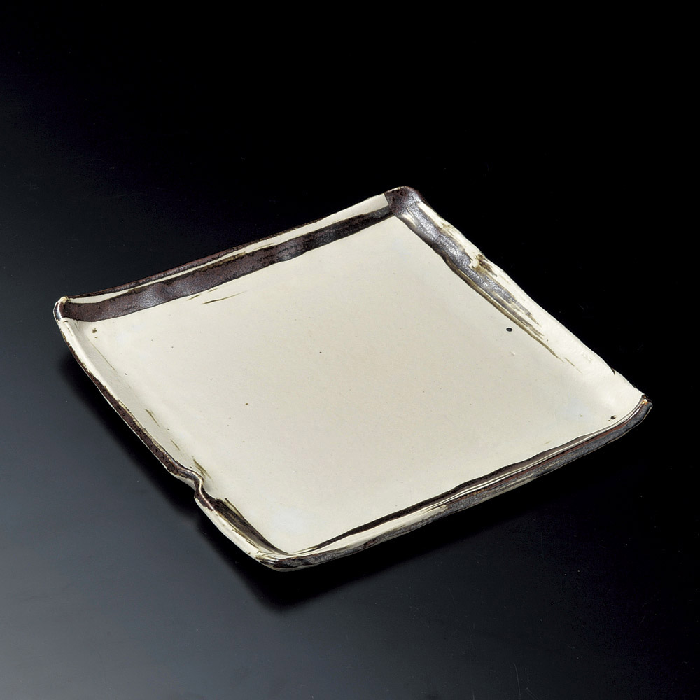 19901-668/철 브러시 10.0 정각 접시(시나라쿠야키)